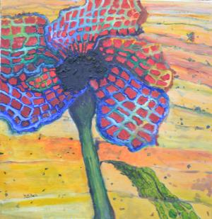 Fot. Paulina Szyplik