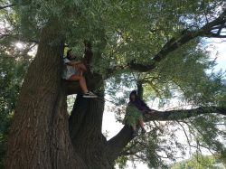 118324163_1043533299419570_8218819557086577146_n rajd...