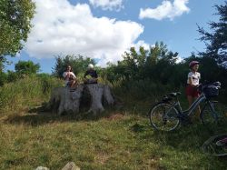 118290842_1043533706086196_6513088410267913471_n rajd...