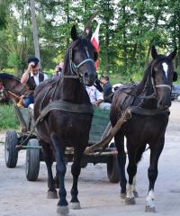 Fot. Paulina Szyplik