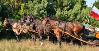 Fot. Paulina Szyplik