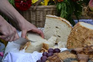 Fot. Paulina Szyplik