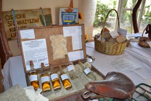 Fot. Paulina Szyplik