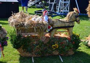 Fot. Paulina Szyplik