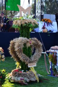 Fot. Paulina Szyplik