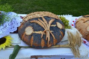 Fot. Paulina Szyplik