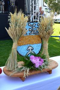 Fot. Paulina Szyplik