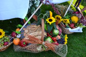 Fot. Paulina Szyplik