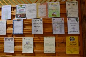 Fot. Paulina Szyplik