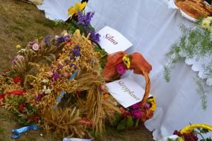 Fot. Paulina Szyplik