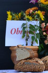 Fot. Paulina Szyplik