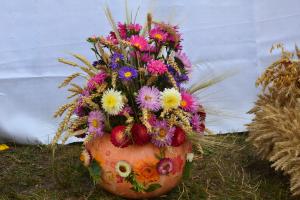 Fot. Paulina Szyplik