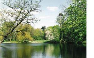 Park przy dworze w ŁążynieII